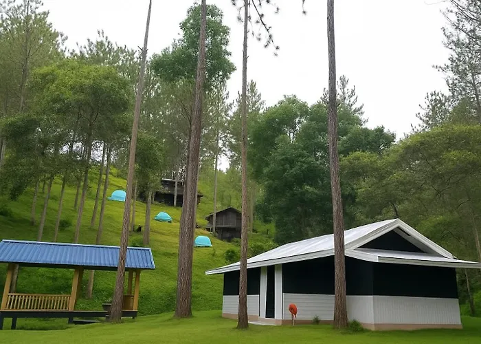 Tribu Cabin